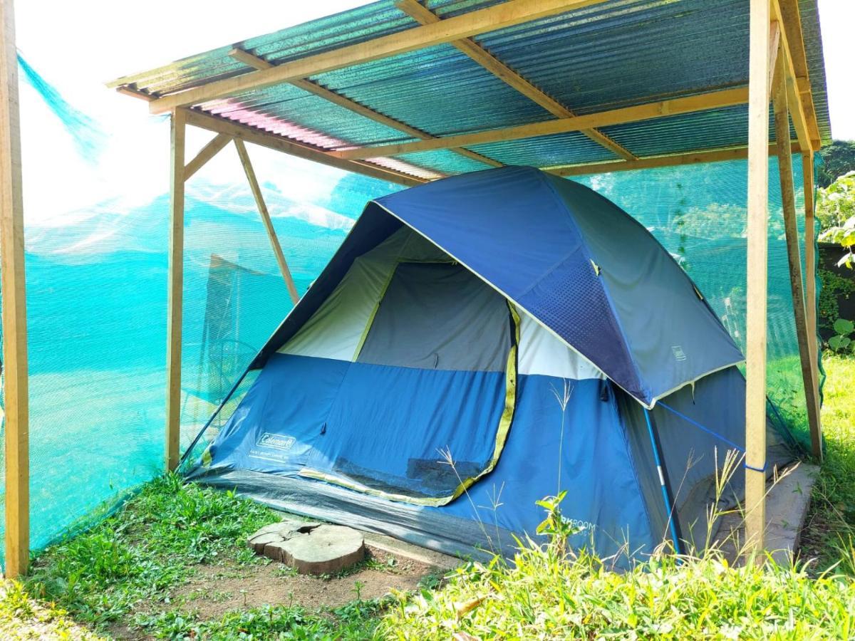 Rustico Arenal B&B La Fortuna Dış mekan fotoğraf