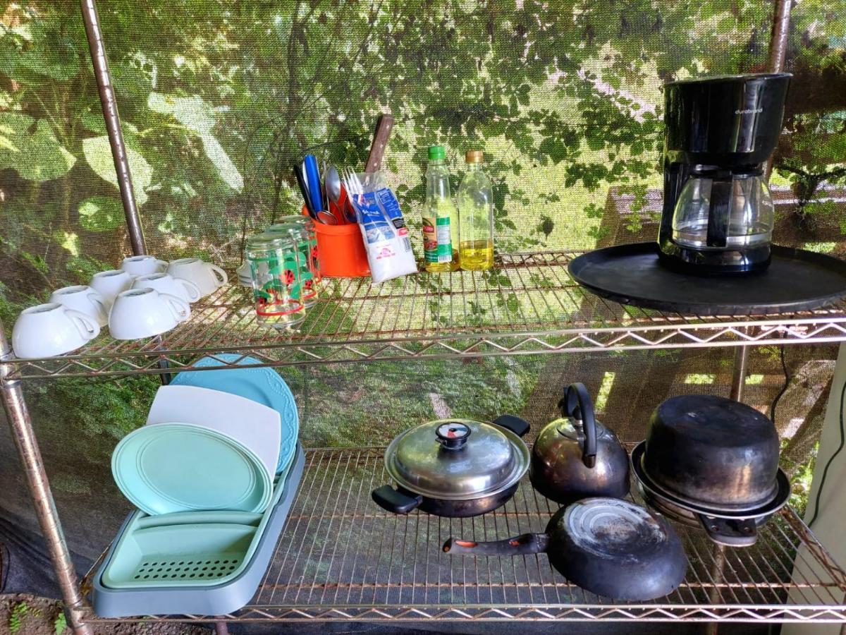 Rustico Arenal B&B La Fortuna Dış mekan fotoğraf