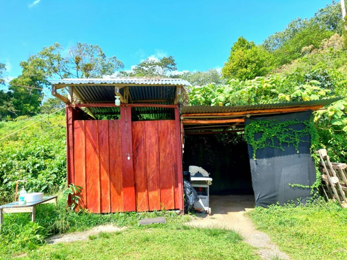 Rustico Arenal B&B La Fortuna Dış mekan fotoğraf