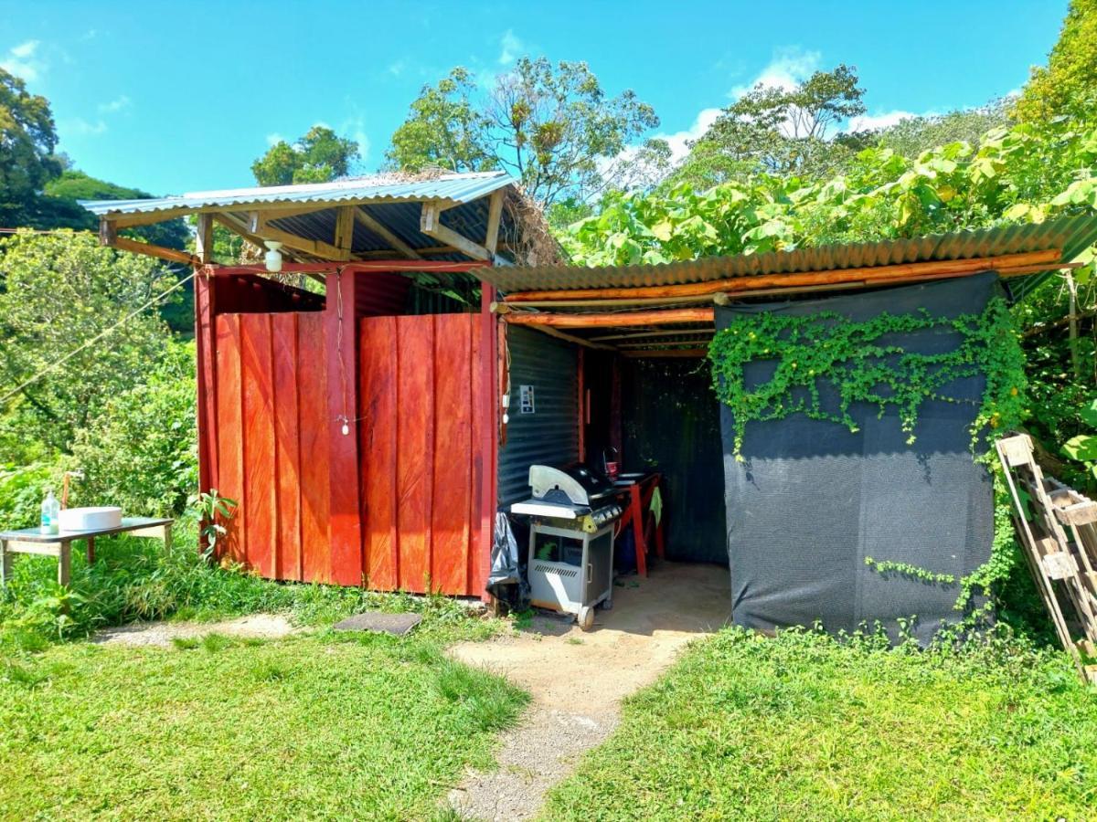 Rustico Arenal B&B La Fortuna Dış mekan fotoğraf
